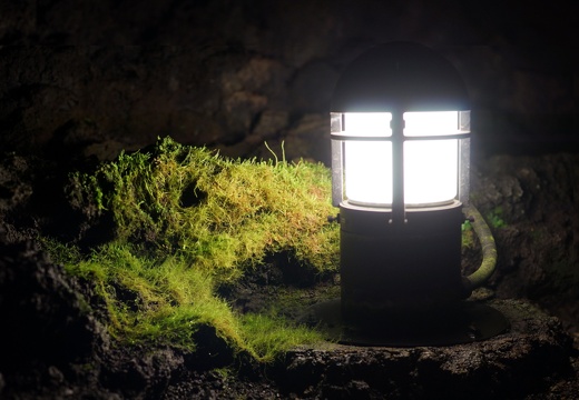 富士風穴氷穴 (Fuji caves)